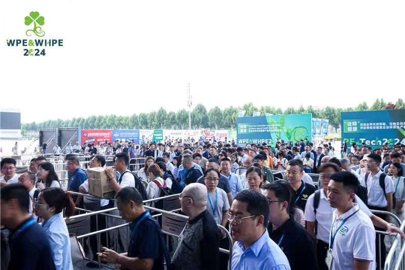 现场图片