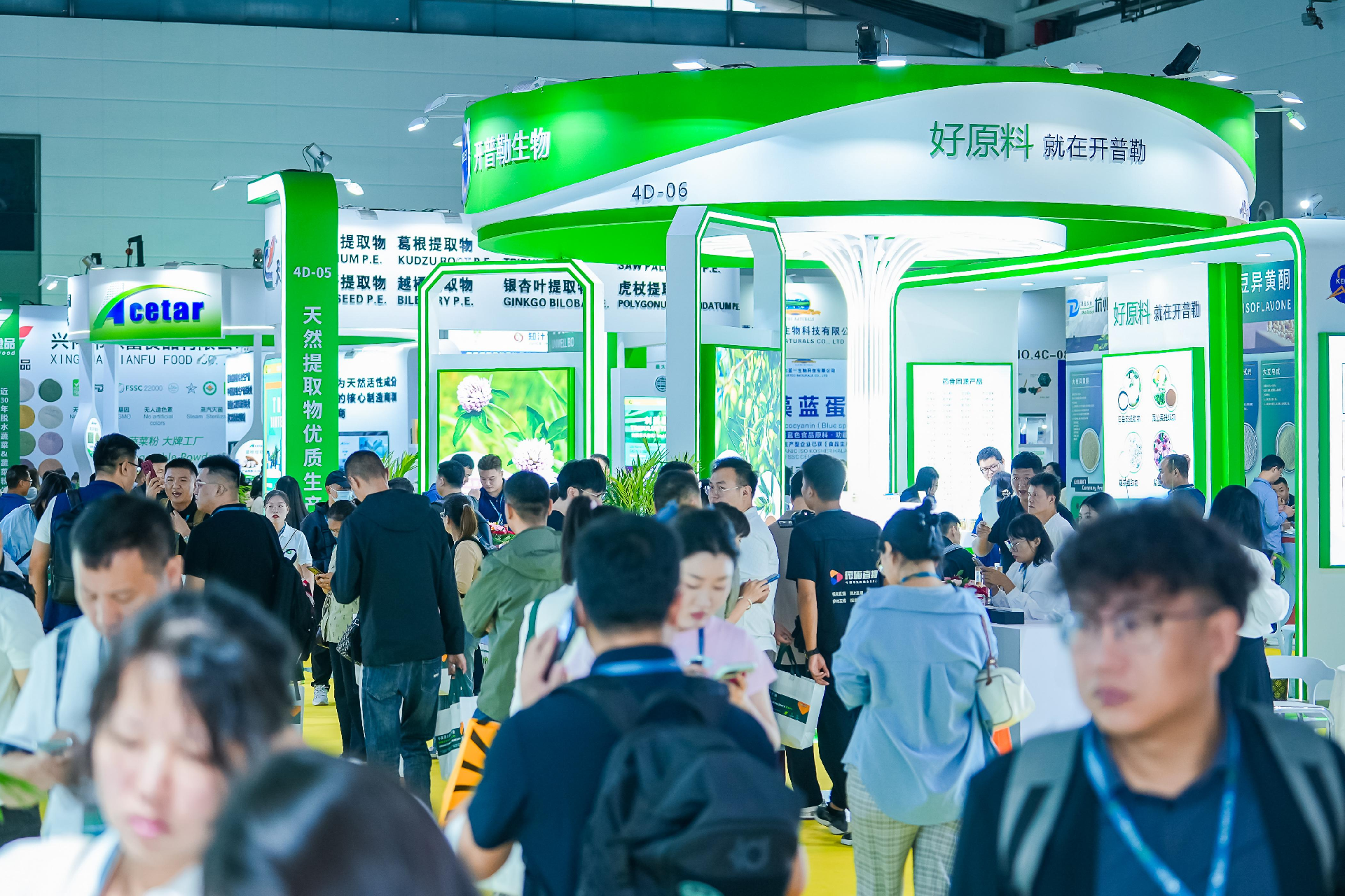 Highlights of the exhibition